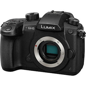 Panasonic -GH5s