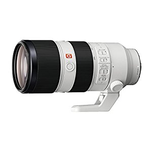 Sony FE 70-200mm f/2.8 GM