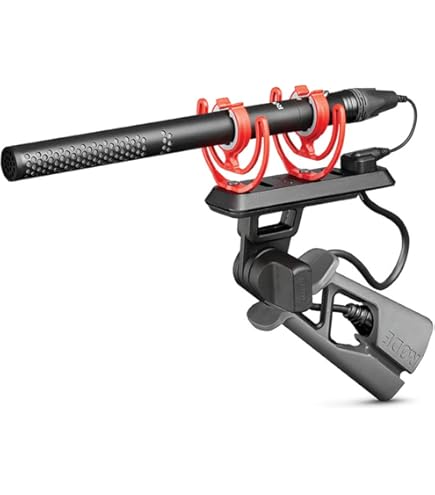 Rode NTG 4+